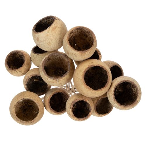 Artikel Bell Cup Mix på stjälk, naturliga exotiska sorter, 15 bitar