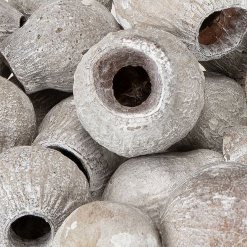 Artikel Vitkalkade bellgums 2 cm - 5 cm 500 g