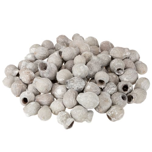 Artikel Vitkalkade bellgums 2 cm - 5 cm 500 g