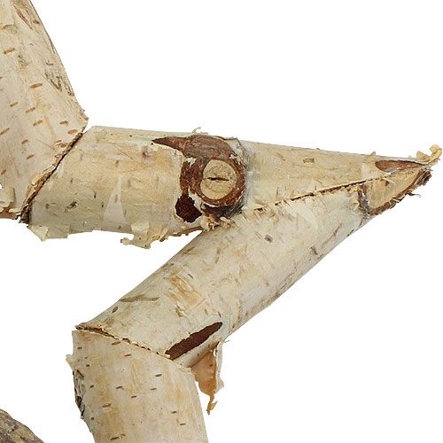 Floristik24 Björkstjärna att hänga 22cm