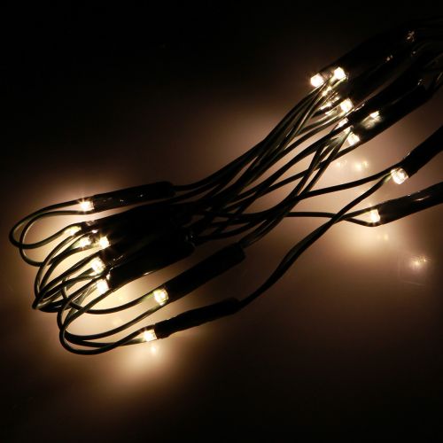 Ljusnät utanför buxbom fairy lights 60 LED Ø35cm