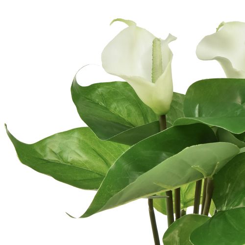 Artikel Calla Lily Kalla Konstgjorda Blommor Vita Exotiska Blommor 34cm