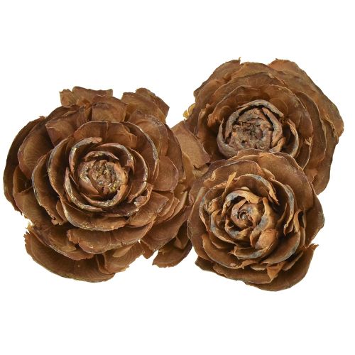 Artikel Koner av cederträ skurna som en rosencederros 4-6cm naturell 50 st