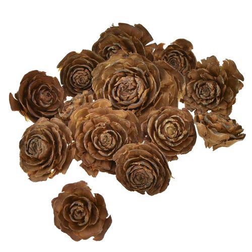 Artikel Koner av cederträ skurna som en rosencederros 4-6cm naturell 50 st