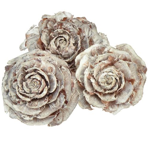 Artikel Cederkottar skurna som rosencederrosa 4-6cm vit/naturlig 50 st