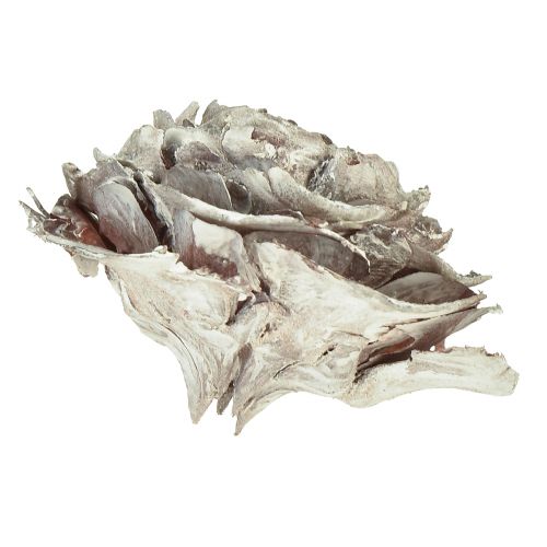 Artikel Cederkottar skurna som rosencederrosa 4-6cm vit/naturlig 50 st