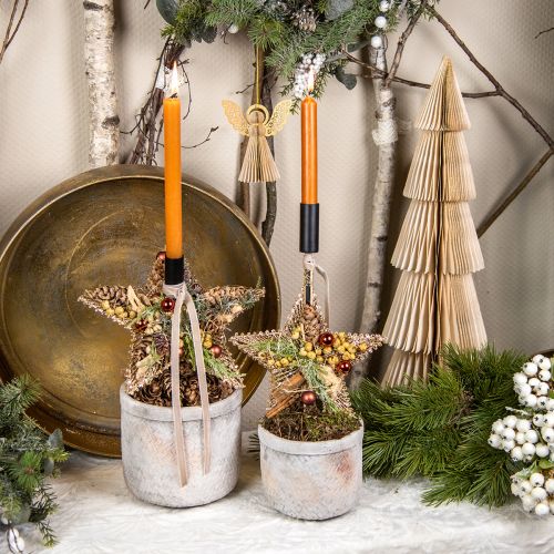Julgranspynt, adventspynt, stjärnhängen gyllene B15cm 8 st