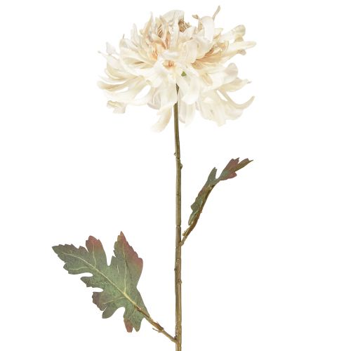 Artikel Krysantemum Konstgjorda Dekorativa Blommor Kräm L72cm 2st