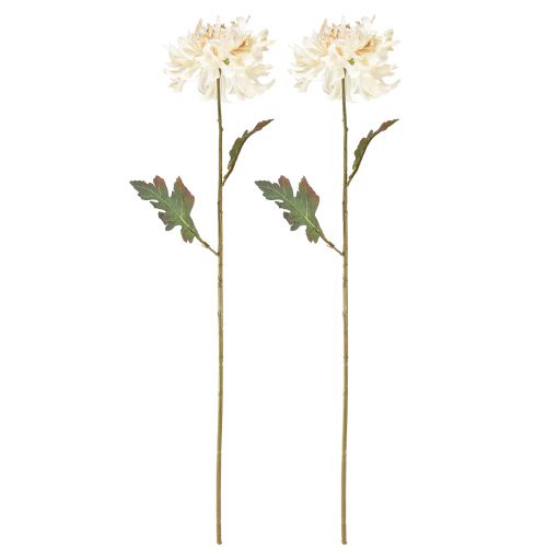 Artikel Krysantemum Konstgjorda Dekorativa Blommor Kräm L72cm 2st