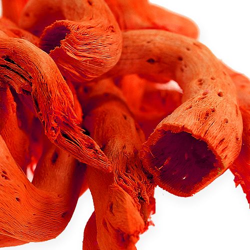 Floristik24 Cupy rot i orange 350g