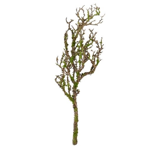 Artikel Dekorativ gren med mossa konstgjord höstdekor grågrön L78cm
