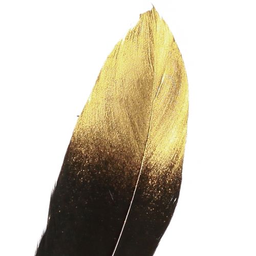 Artikel Dekorativa fjädrar svart guld äkta gåsfjädrar 15-20cm 50st