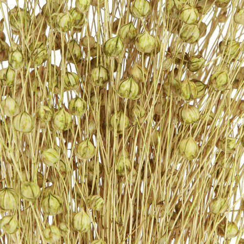 Artikel Deco Lin Torkade Torkade Blommor Olivgrön 50g