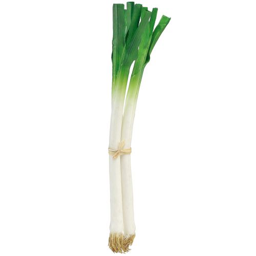 Floristik24 Dekorativa grönsaker vårlök grön vit Ø1cm L28cm 3 st