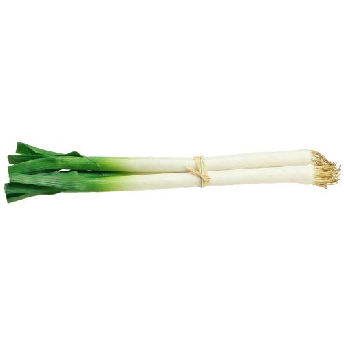 Artikel Dekorativa grönsaker vårlök grön vit Ø1cm L28cm 3 st
