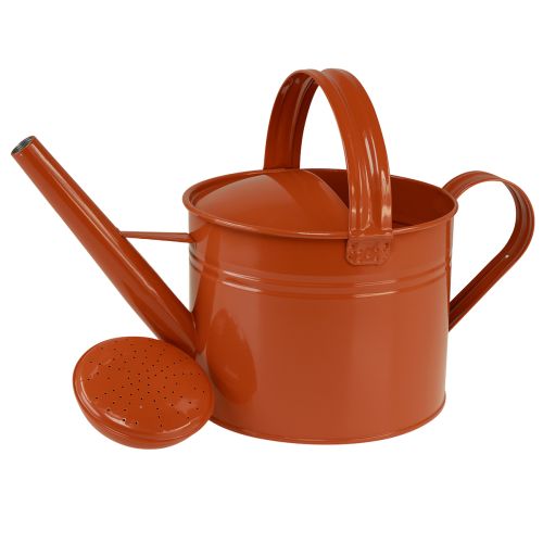 Dekorativ vattenkanna i metall i lantlig stil, orangebrun, 26 cm, 5 l - Mångsidig användning som kruka och dekorativ vattenkanna | Floristik24.se