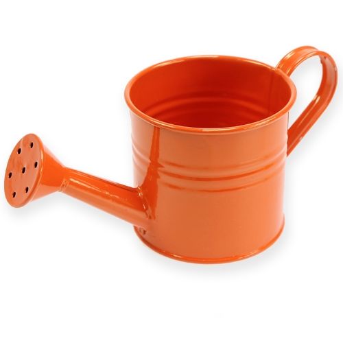 Floristik24 Vattenburk Ø11cm H9cm 8st. blandade färger