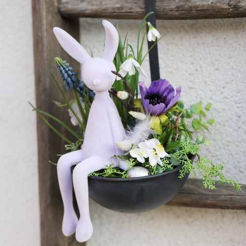 Floristik24 Dekorativ murslev växtskål antracithängande Ø16,5cm 2st