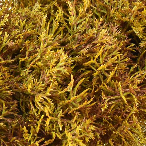 Artikel Dekorativ konstgjord mosskrans med hängare brungrön Ø30cm