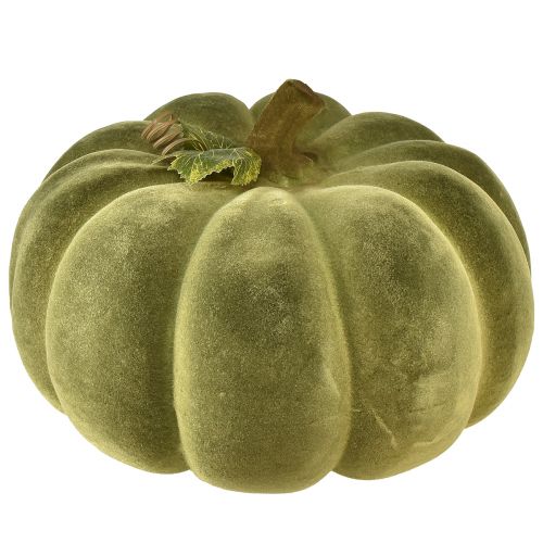 Artikel Dekorativ pumpa flockad grön – sammetslen, vacker höstdekoration 32cm