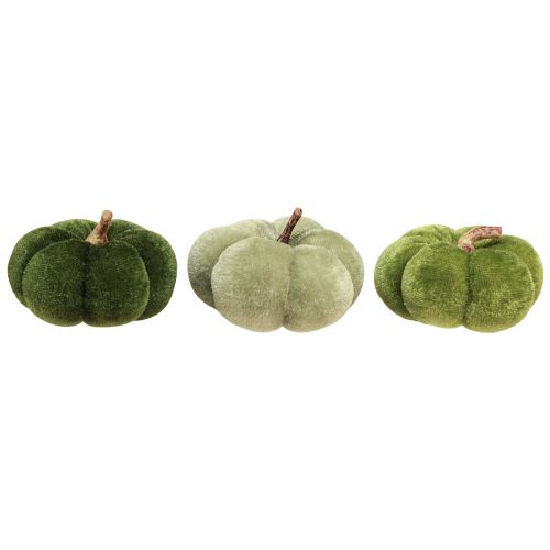 Floristik24 Dekorativa pumpor av tyg sammetsgröna Ø7cm H4,5cm 9 st
