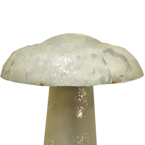 Floristik24 Dekorativ svamp metall höstdekoration rostgrön vintage 36cmx62cm