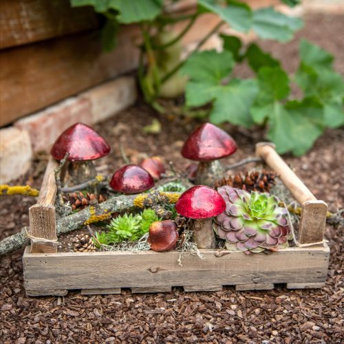 Artikel Dekorativ svamp Röd Stor Glas Höstdekoration Ø14cm H23cm