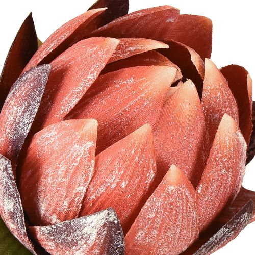 Artikel Dekorativa Protea konstgjorda blommor röd-orange 34cm 3st