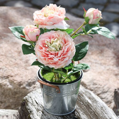 Artikel Dekorativ ros i kruka, romantiska sidenblommor, rosa pion