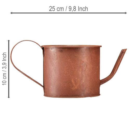 Artikel Dekorativ rostfärgad vattenkanna/planter, metall, Ø12,5 cm H10,5 cm