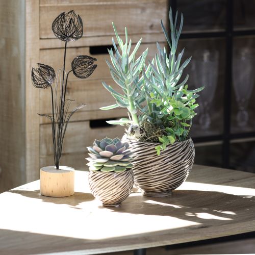 Artikel Dekorskål Blomkruka Keramik Beige Brun Ø15cm 2st
