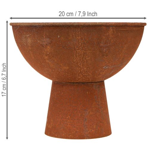 Artikel Dekorativ skål med fot, bägare, rostfärgad metall, Ø20,5 cm, 2 stycken
