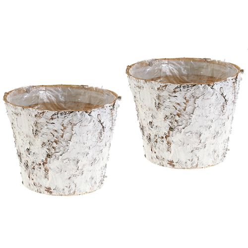 Floristik24 Dekorativ kruka vitnad björkkruka Ø18cm H15cm 2st