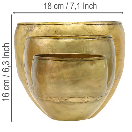 Dekorativa vaser i mässingsliknande metall Ø18/15/12,5 cm, set om 3 | Floristik24.se