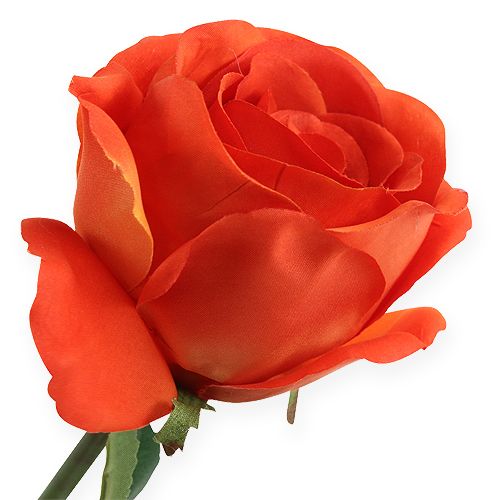 Floristik24 Dekorativa rosor orange 32 cm 6st