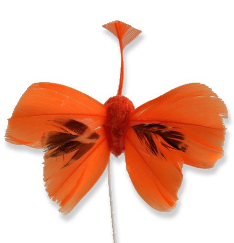 Floristik24 Dekorativa fjärilar på orange orange 9cm 36p