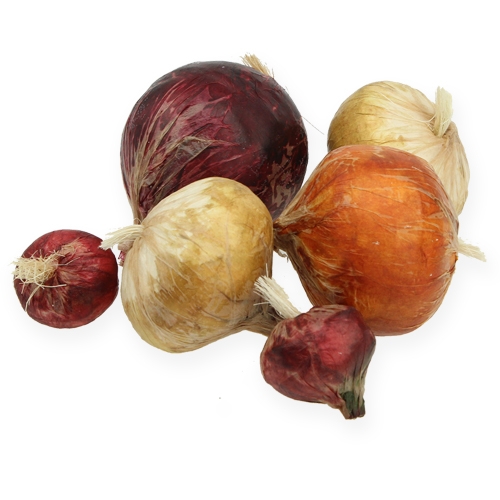 Floristik24 Lök stora och små konstgjorda 14st.