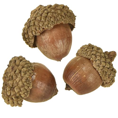 Artikel Ekollon för dekoration, höstdekoration, naturliga höstfrukter Ø1,5 – 2,5 cm L1,5 – 3 cm 300 g