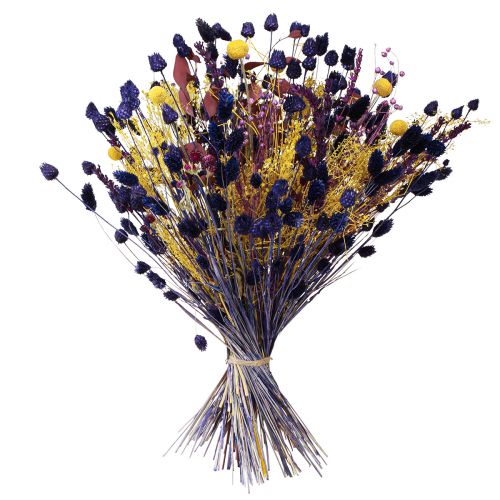 Artikel Jordgubbstistel Torrtisteltistel Dekoration Violett 44-58cm 100g