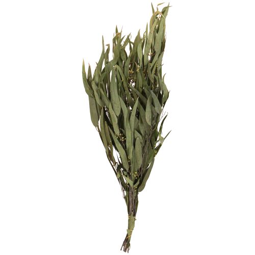 Artikel Eucalyptus Konserverade Grenar Blad Grön Oval 150g