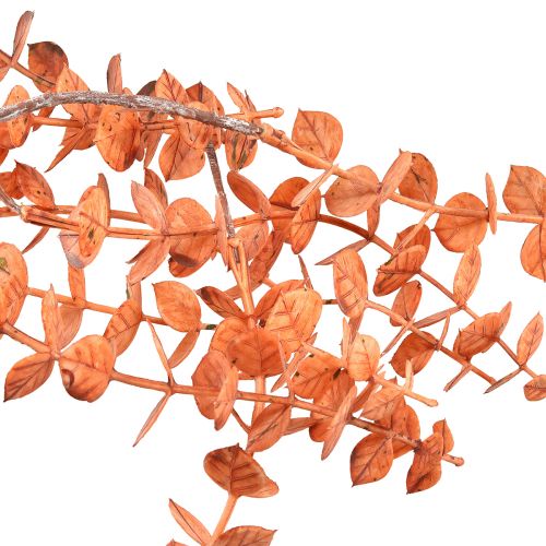 Artikel Konstgjord Eucalyptushängare Höst Eucalyptus Orange 150cm