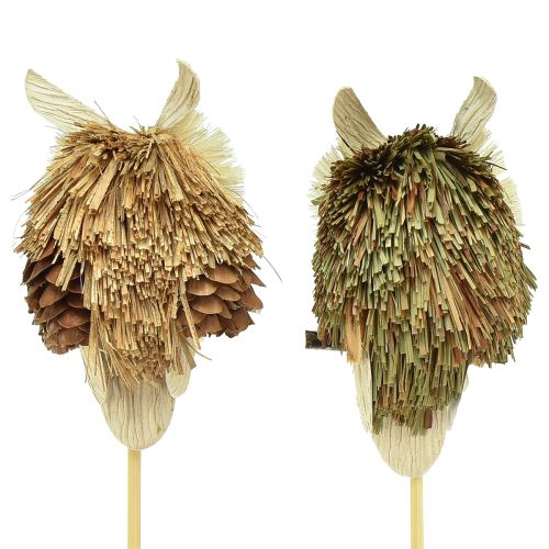 Artikel Uggla dekorativa blomproppar höstdekoration natur Ø4cm H8cm 4st