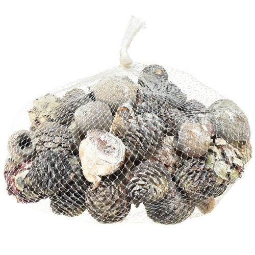 Artikel Exotiska kottar Leucodendron vittvättad 3-4cm 450g