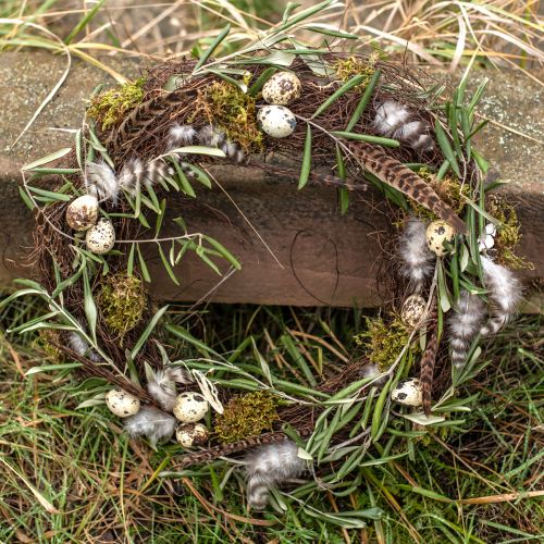Floristik24 Fasanfjädrar Dekoration Äkta fjädrar Natur 40cm 9 st