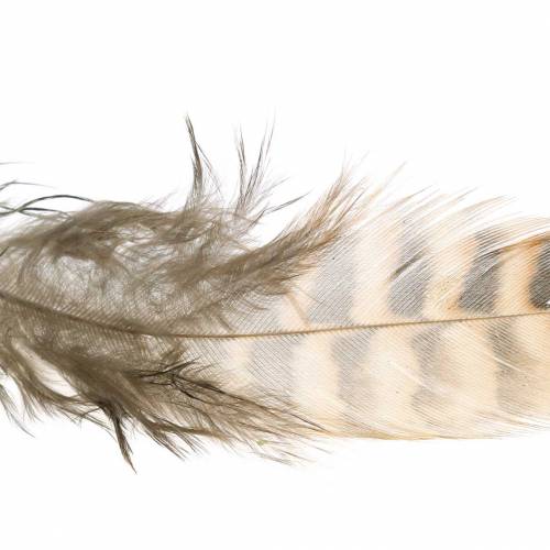 Floristik24 Fjädrar naturliga 4,5 - 9cm 20g