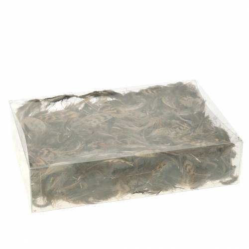 Floristik24 Fjädrar naturliga 4,5 - 9cm 20g