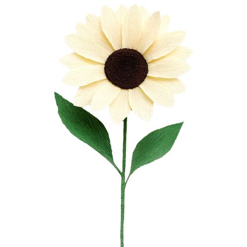 Artikel Blomsterpapper champagne 50x250cm