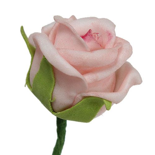 Floristik24 Skumrosa Ø3,5cm laxrosa 30st