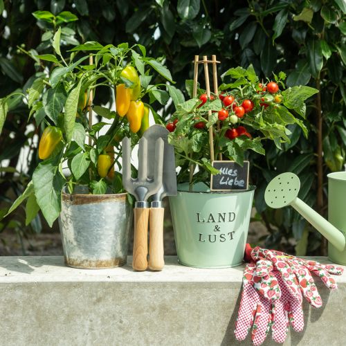 Floristik24 Trädgårdsredskap med sängpålar kratta spade set 25/28cm