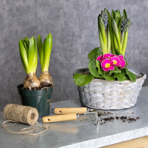 Artikel Flätad korg som snygg blomsterdekoration i vardagsrummet. Påskkorg, 23 cm, 6 delar.